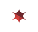 Шатёр Звезда (Диаметр 10 м) Схема 4