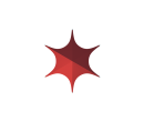 Шатёр Звезда (Диаметр 8 м) Схема 4