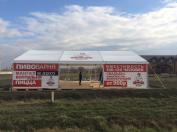 Декор: напольные вазоны с растениями